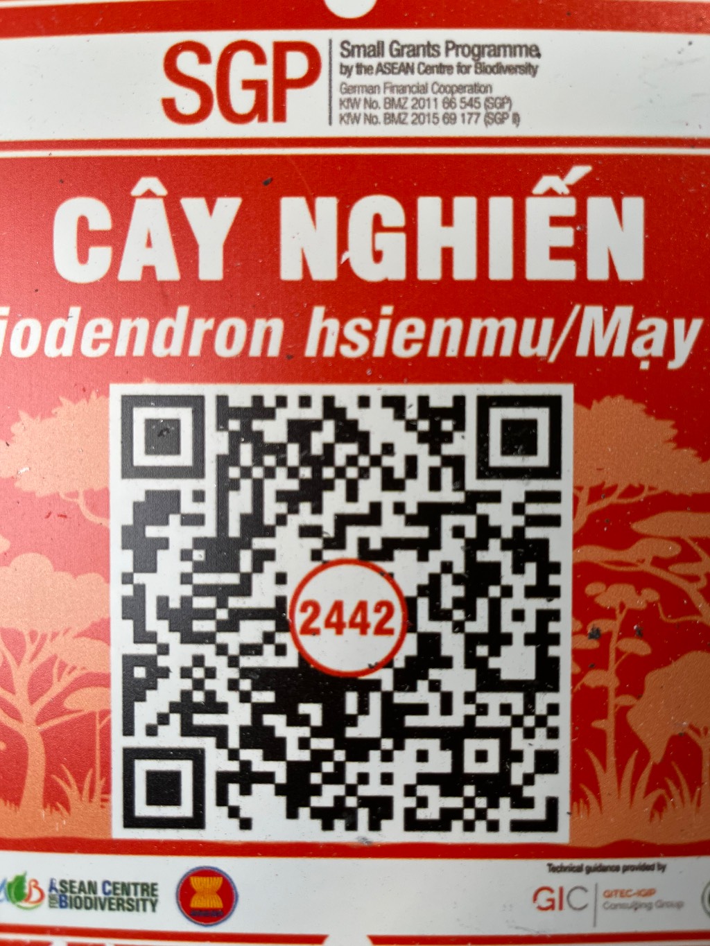 Ảnh cây