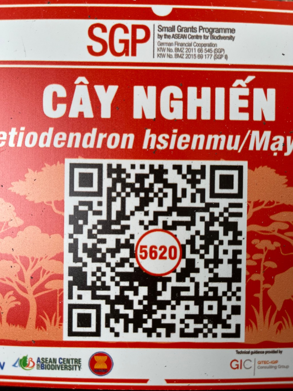 Ảnh cây