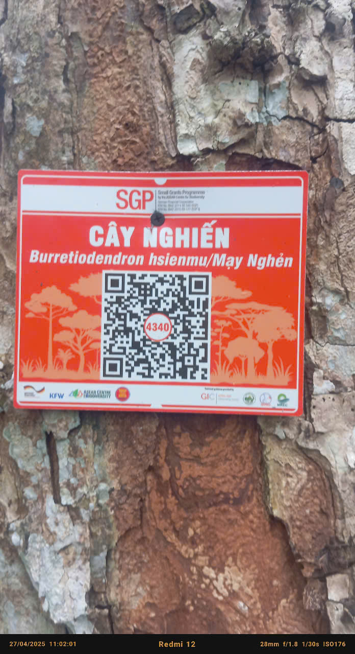 Ảnh cây