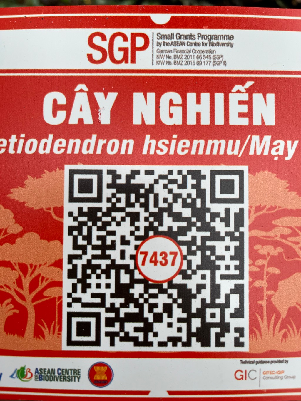 Ảnh cây