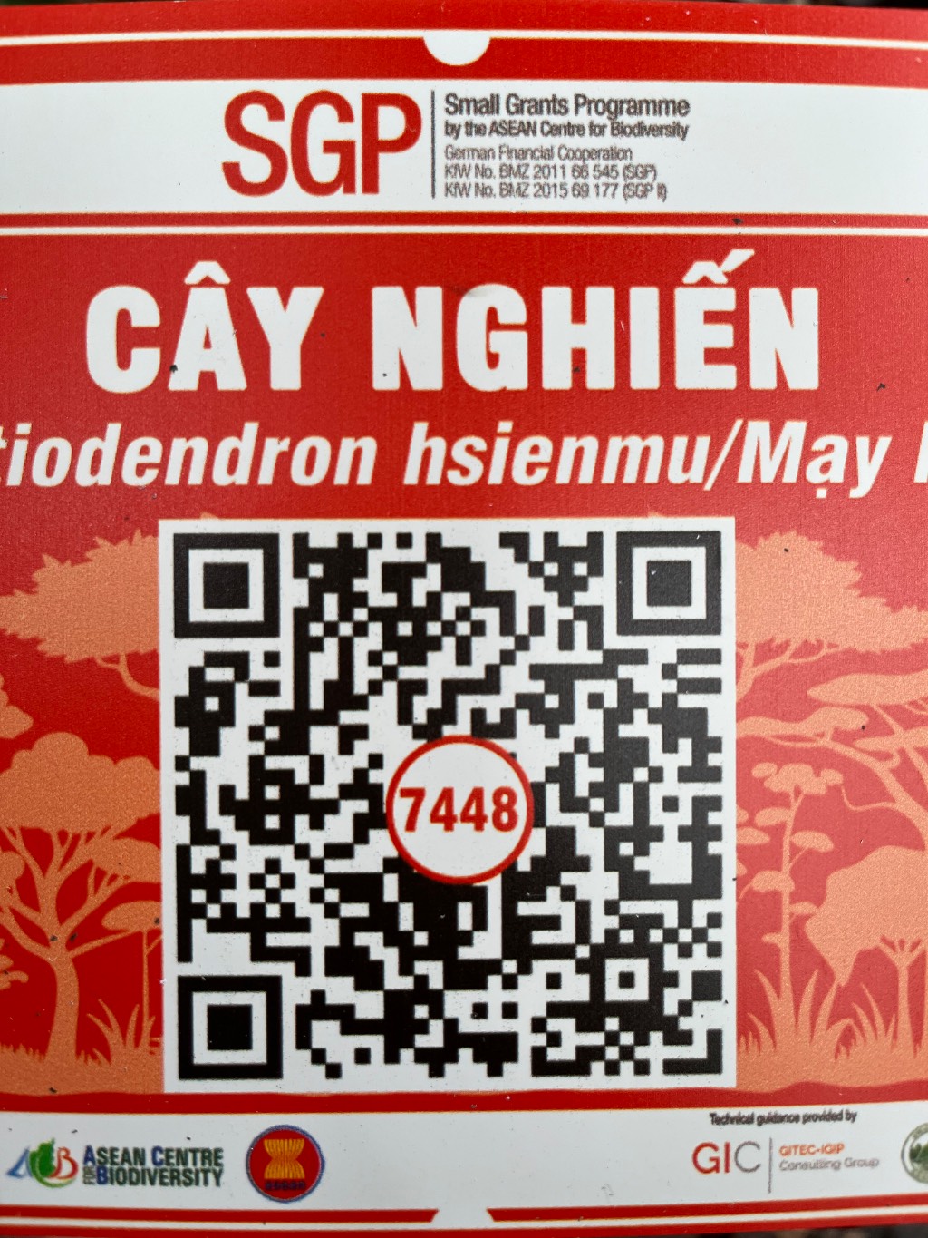 Ảnh cây