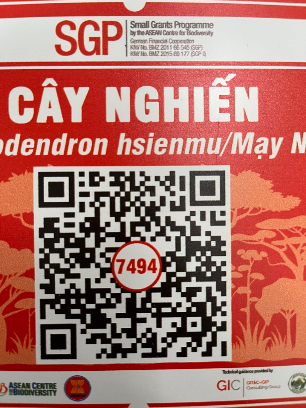 Ảnh cây