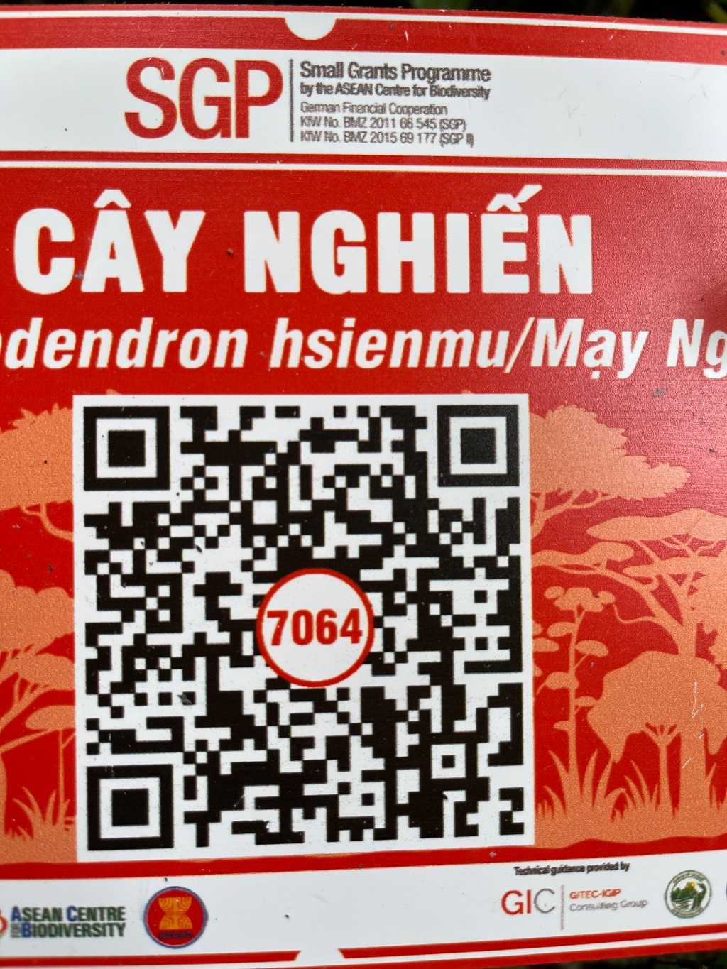 Ảnh cây