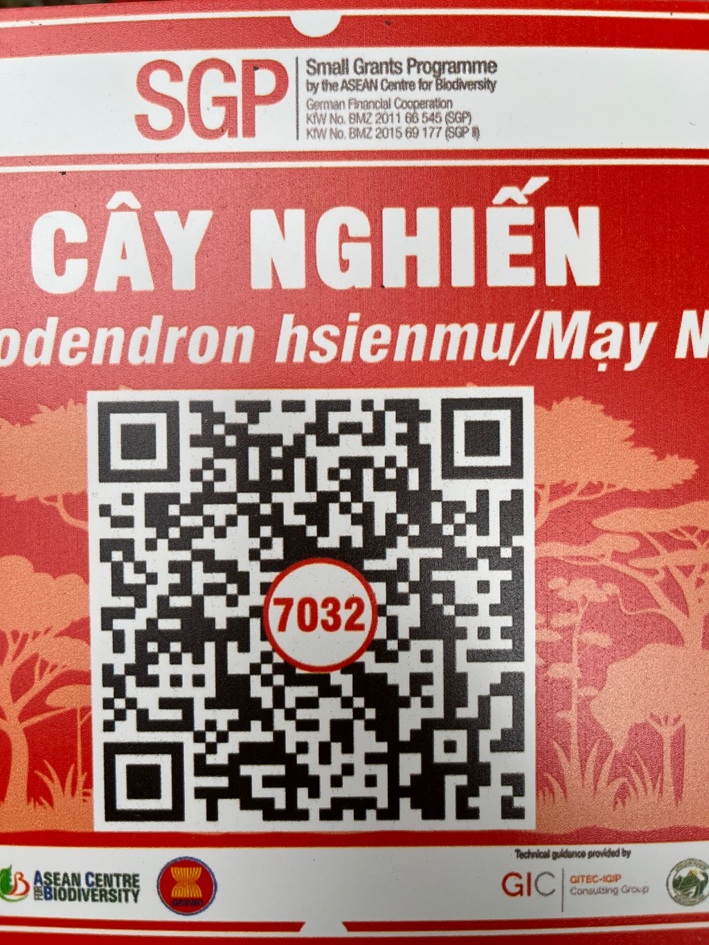 Ảnh cây