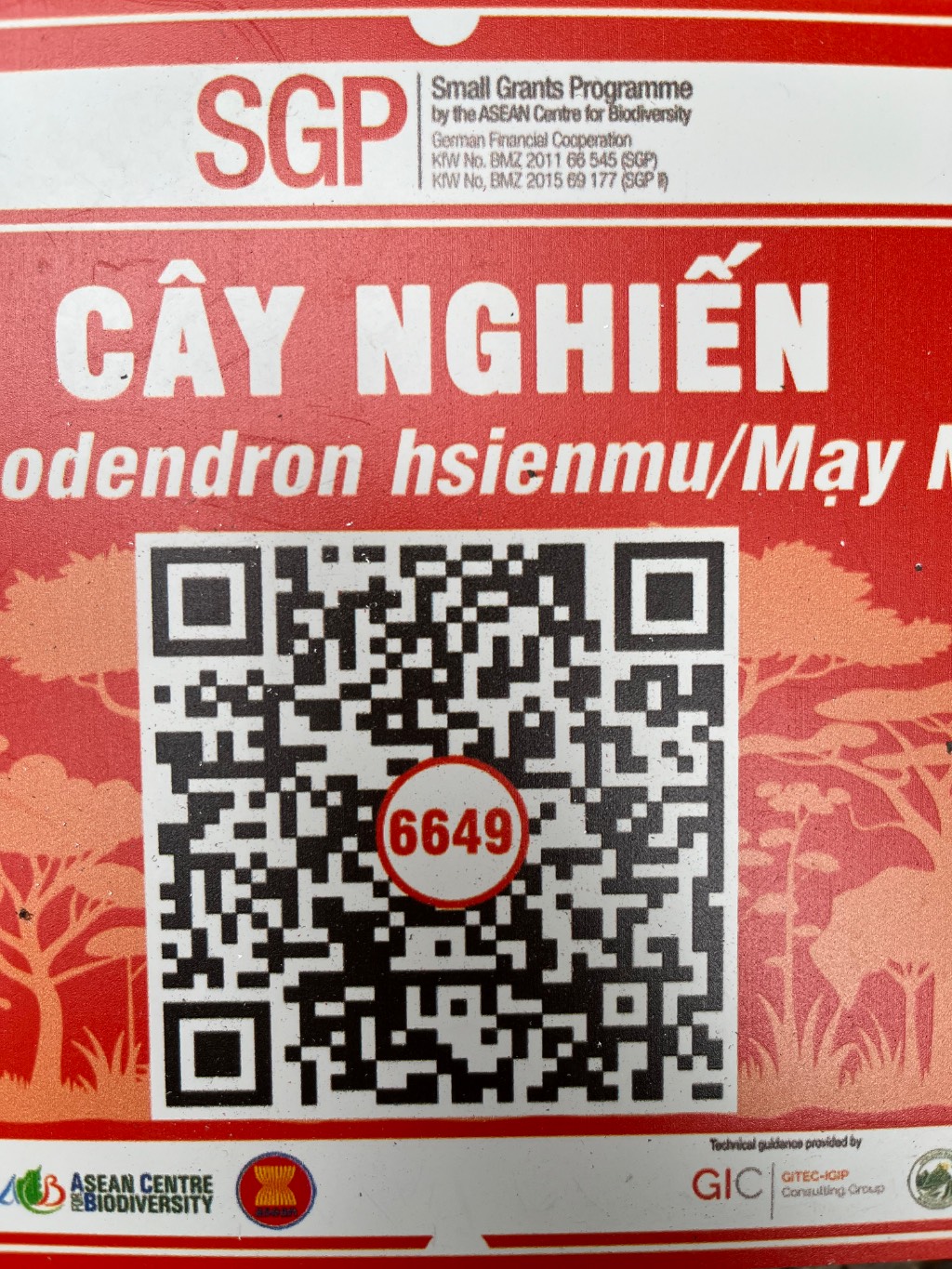 Ảnh cây