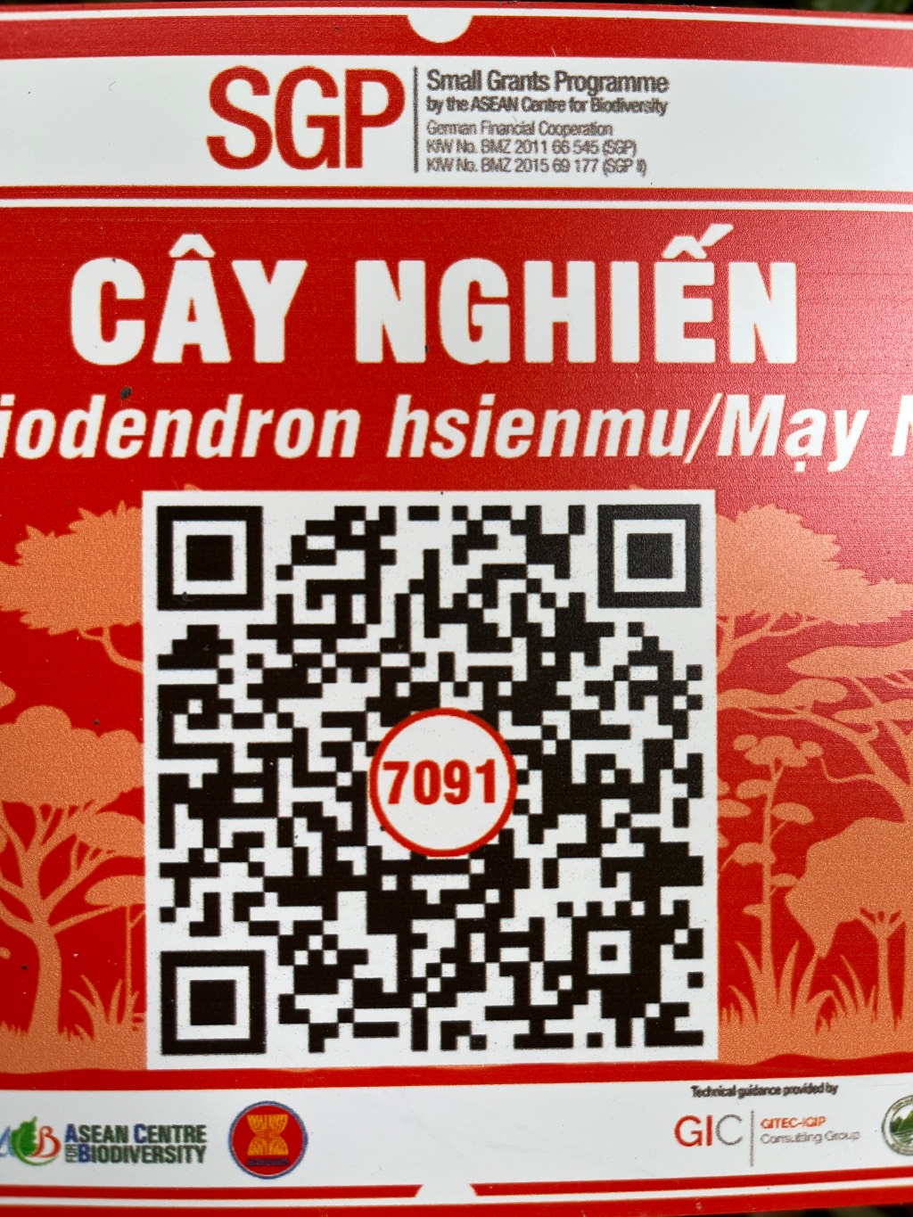 Ảnh cây