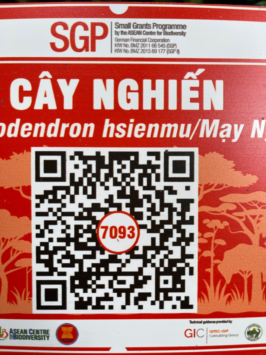 Ảnh cây