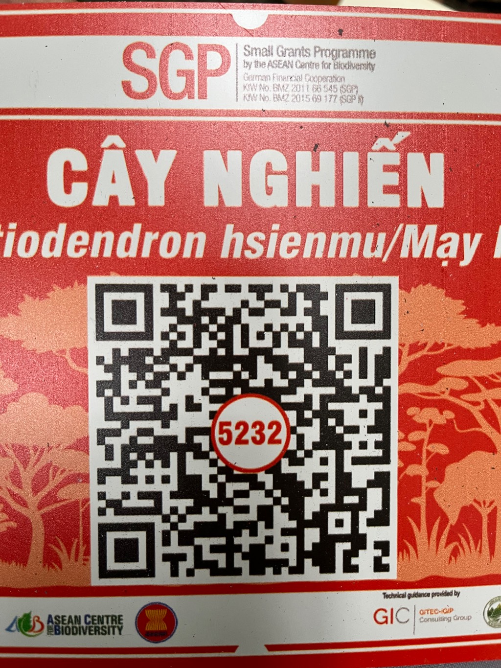 Ảnh cây