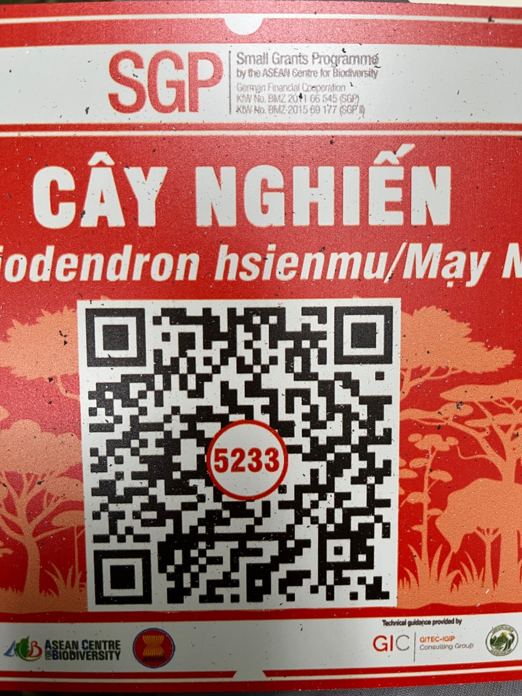Ảnh cây