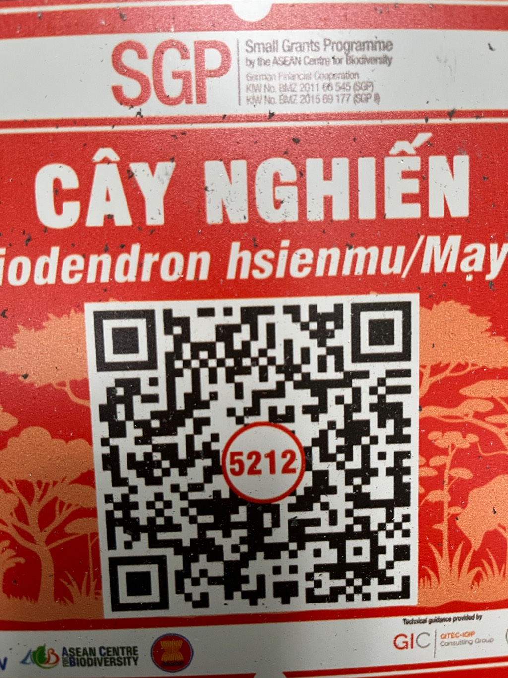 Ảnh cây