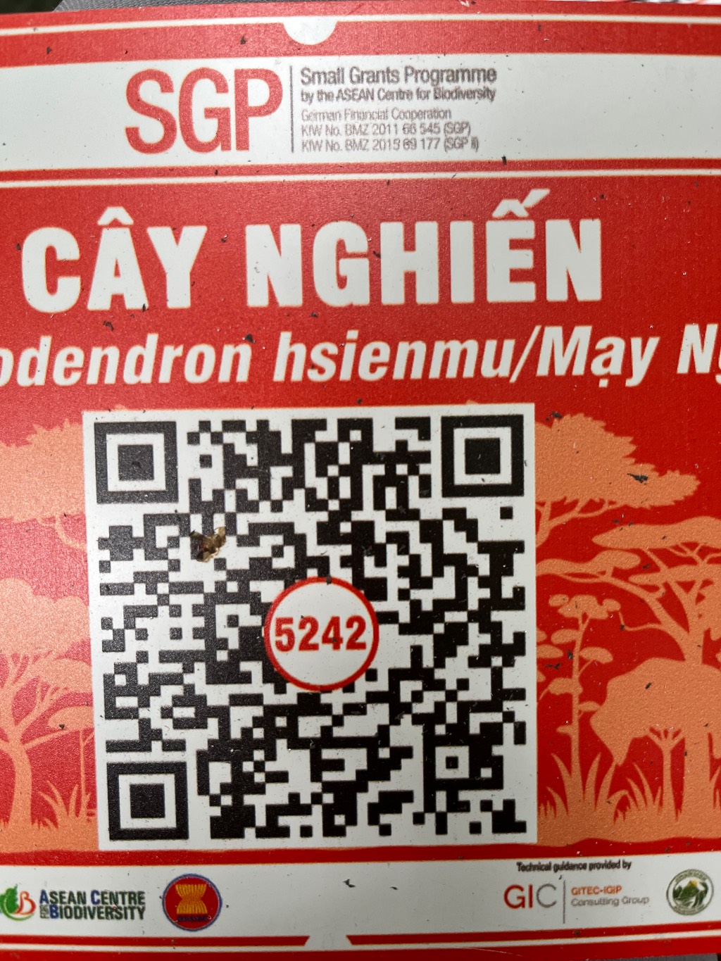 Ảnh cây