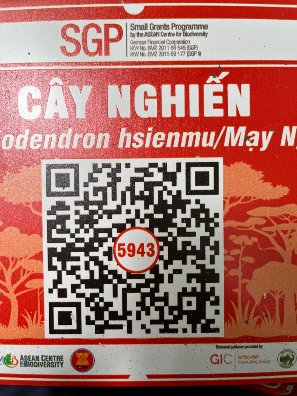 Ảnh cây