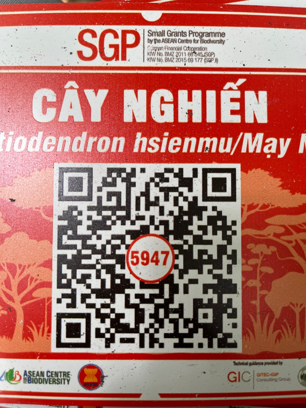 Ảnh cây