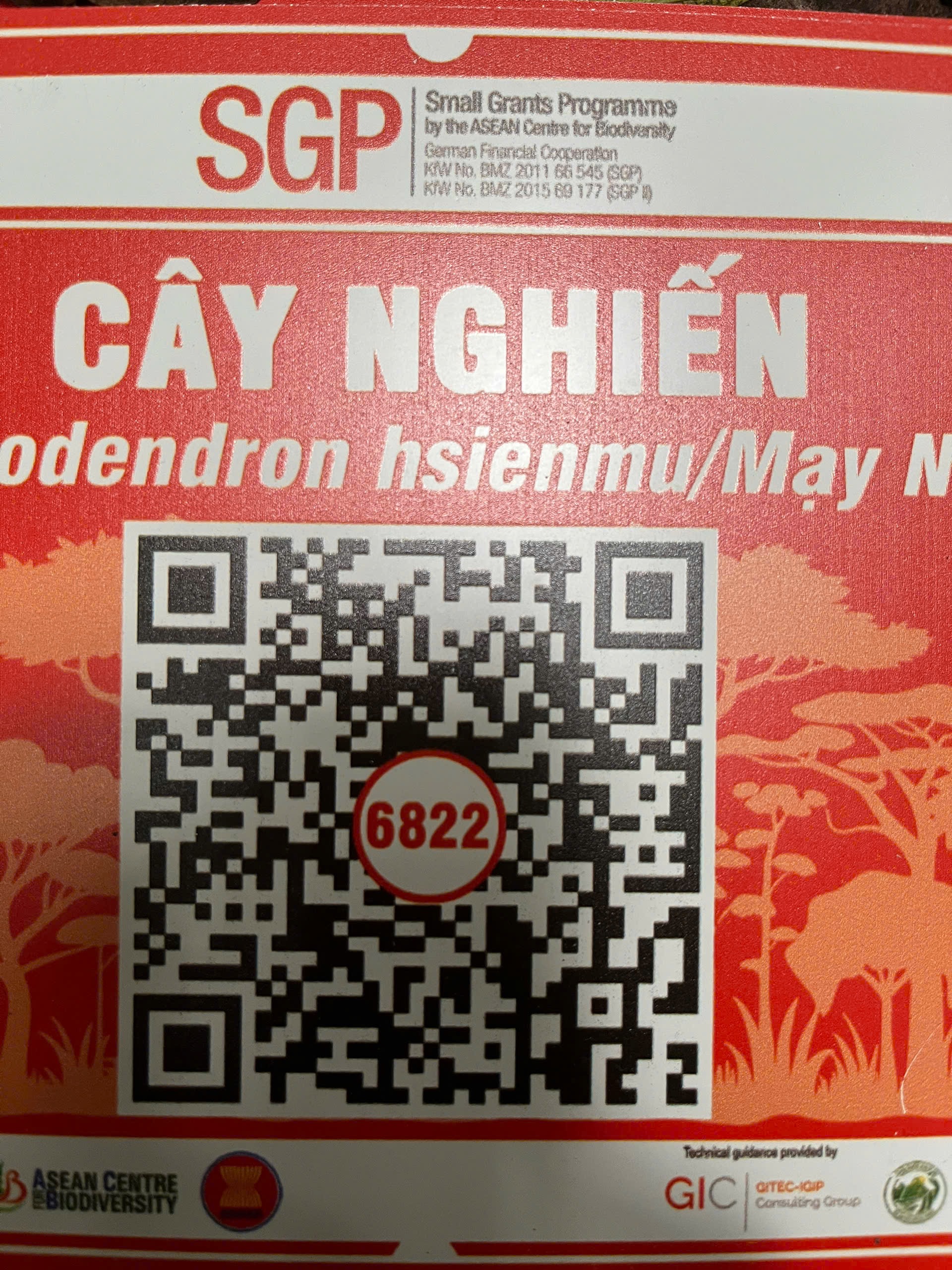 Ảnh cây