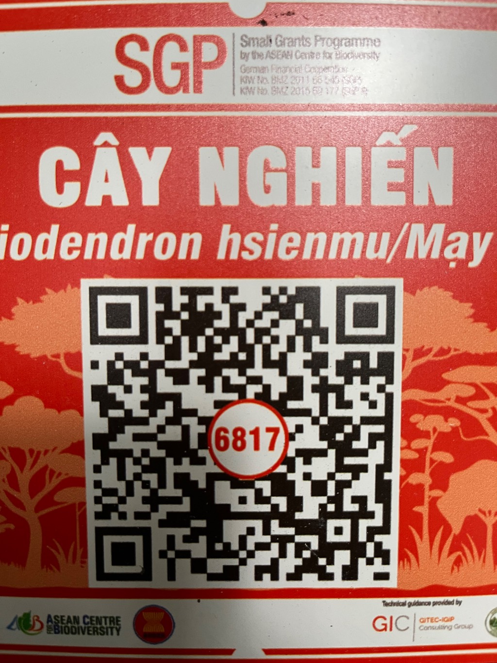 Ảnh cây