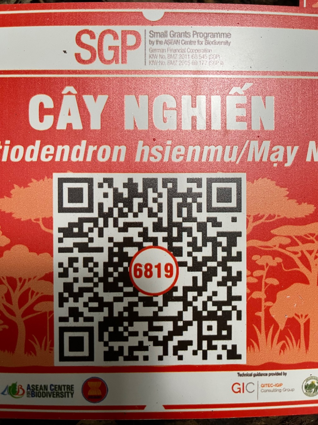 Ảnh cây