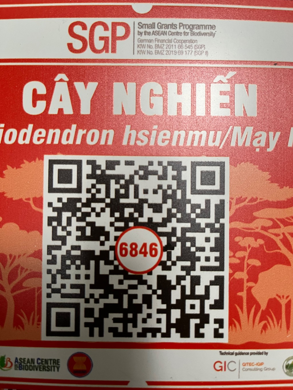 Ảnh cây