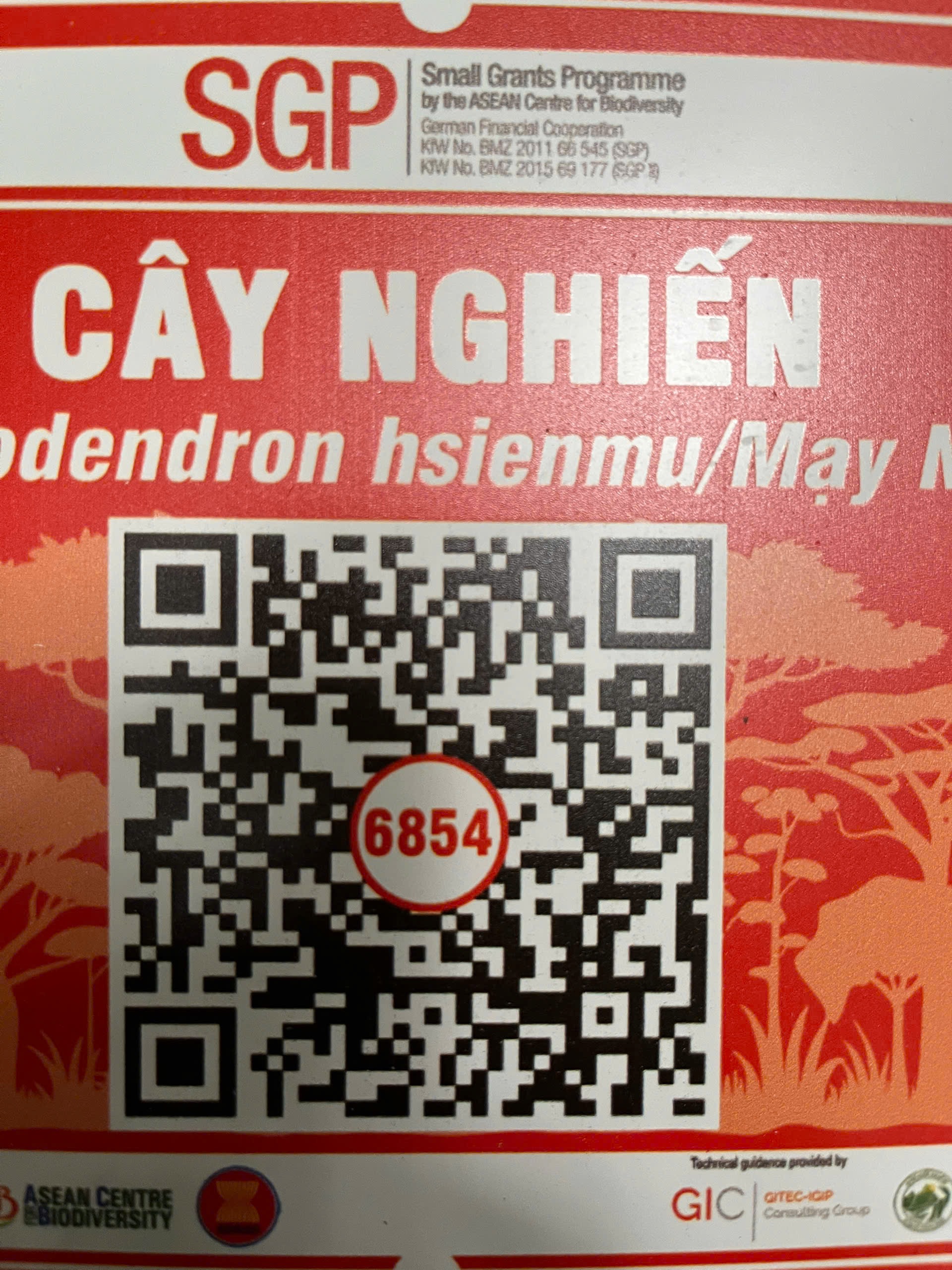 Ảnh cây
