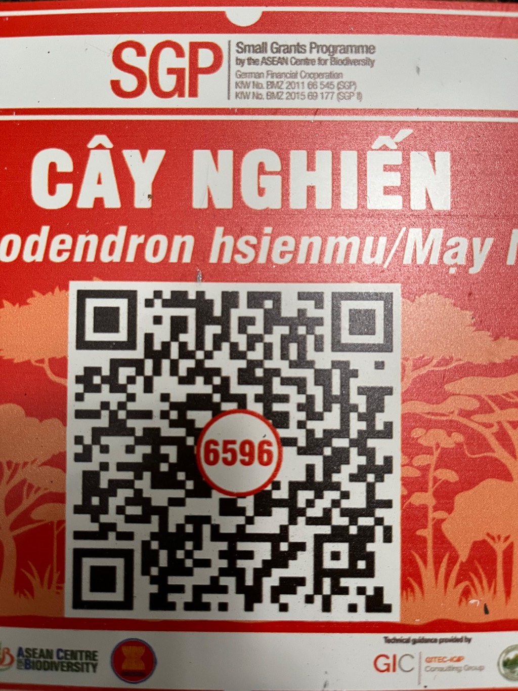 Ảnh cây