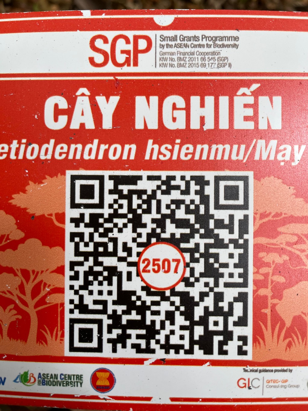 Ảnh cây