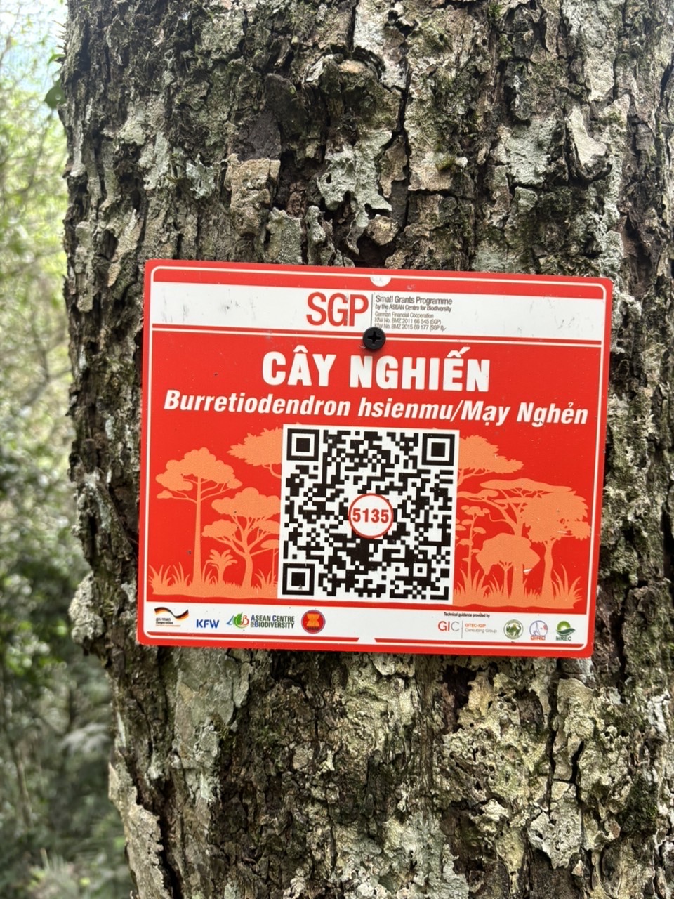 Ảnh cây