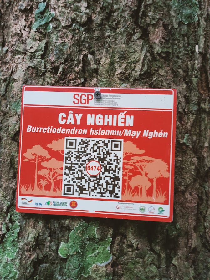 Ảnh cây