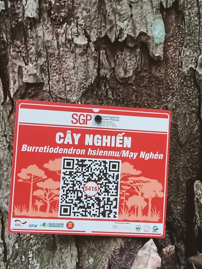Ảnh cây