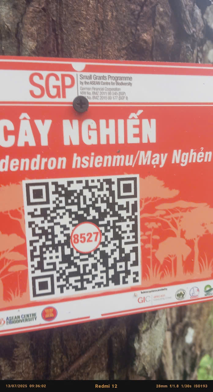 Ảnh cây