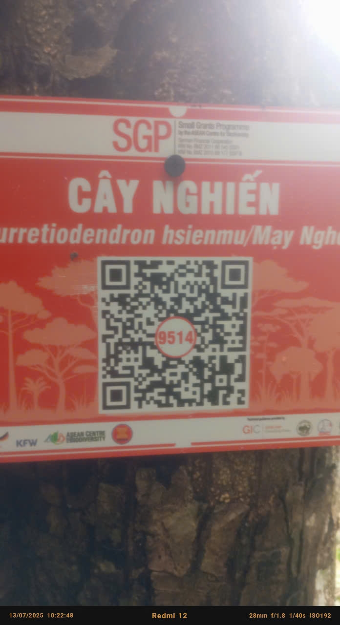 Ảnh cây